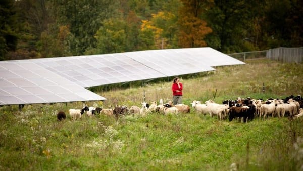 Farms vs. solar, bad math, and a very big vote